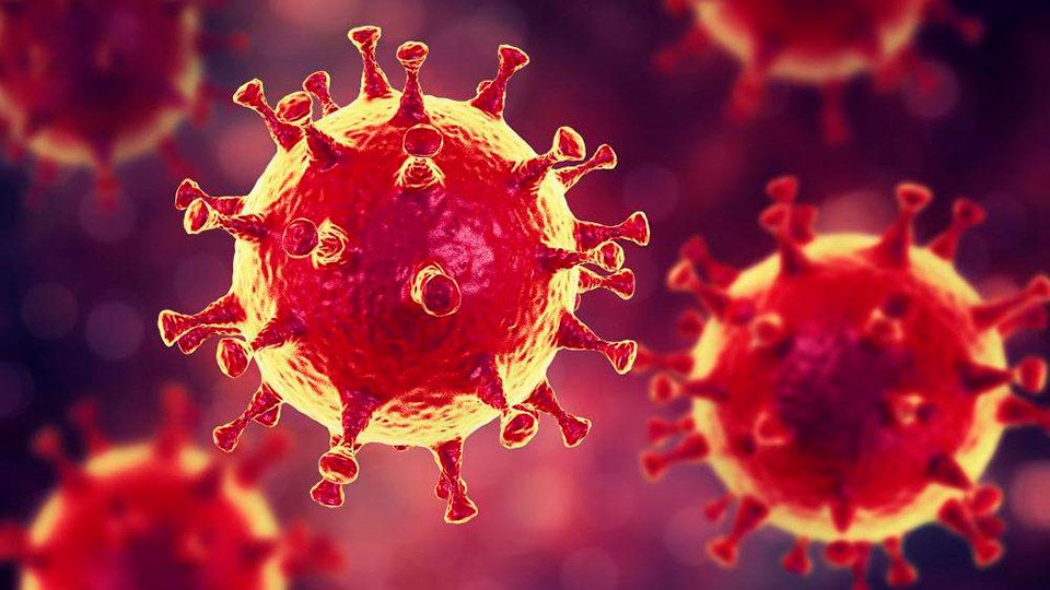 Созонов борется с коронавирусом с помощью желчи